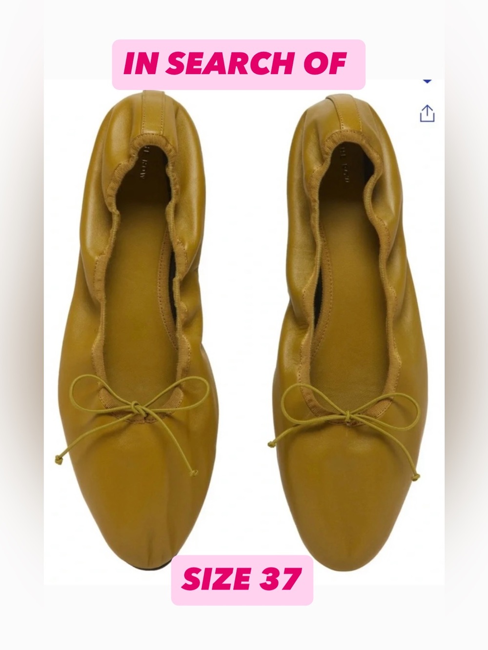 ISO The Row Dijon Awar Ballet Flats
